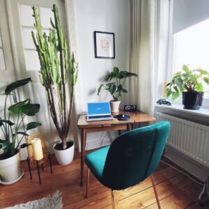 green potted plant beside brown wooden table